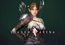 Shadow Arena Final Beta İncelemesi MMO-shadow-arena-final-beta-incelemesi