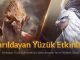 Black Desert Türkiye&MENA’ya Bereketli Ödüllerle Yeni Bir Etkinlik Dizisi Geliyor black-desert-turkiyemenaya-bereketli-odullerle-yeni-bir-etkinlik-dizisi-geliyor